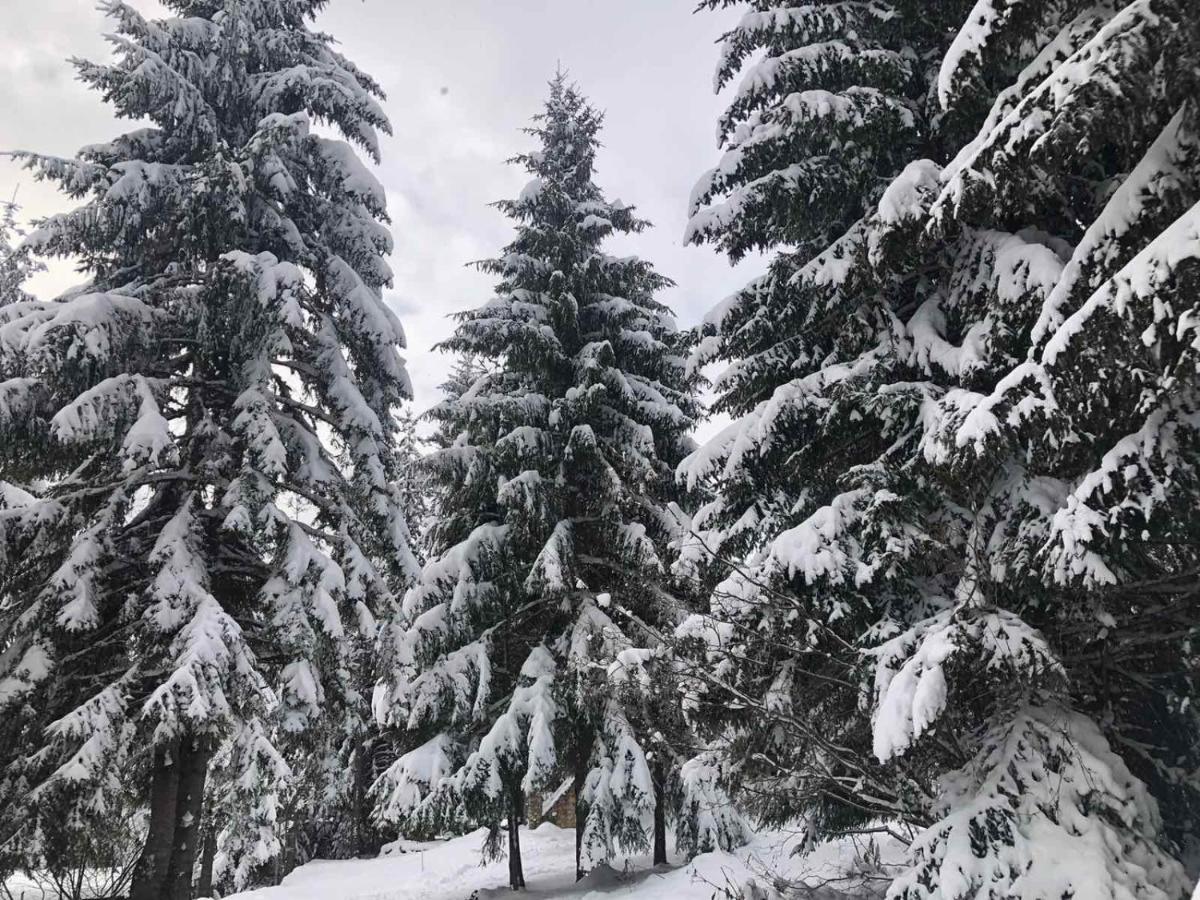Apartman Mendrea Konjska Reka Dış mekan fotoğraf